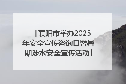襄阳市举办2025年安全宣传咨询日暨暑期涉水安全宣传活动