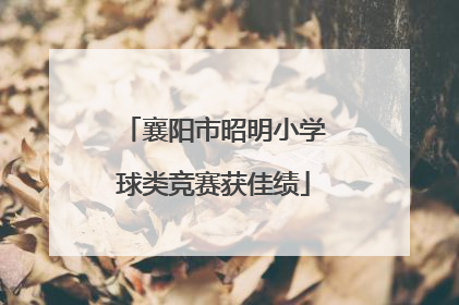 襄阳市昭明小学球类竞赛获佳绩