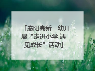 襄阳高新二幼开展“走进小学 遇见成长”活动