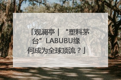 观澜亭｜“塑料茅台”LABUBU缘何成为全球顶流？