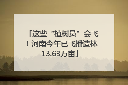 这些“植树员”会飞！河南今年已飞播造林13.63万亩