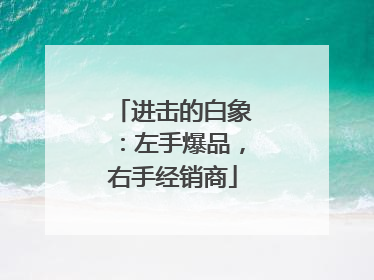 进击的白象：左手爆品，右手经销商