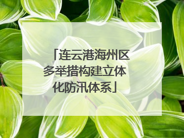 连云港海州区多举措构建立体化防汛体系
