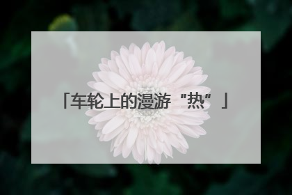 车轮上的漫游“热”
