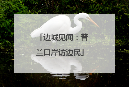 边城见闻：普兰口岸访边民