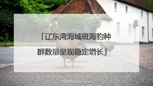 辽东湾海域斑海豹种群数量呈现稳定增长