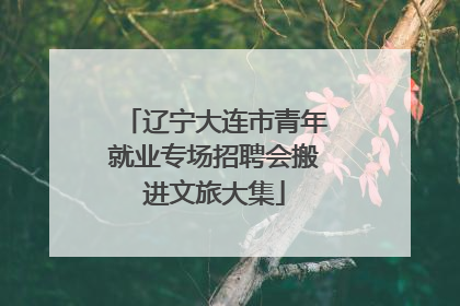 辽宁大连市青年就业专场招聘会搬进文旅大集