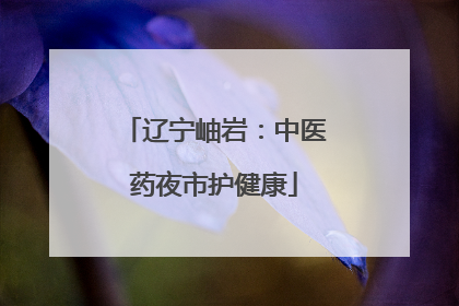 辽宁岫岩：中医药夜市护健康