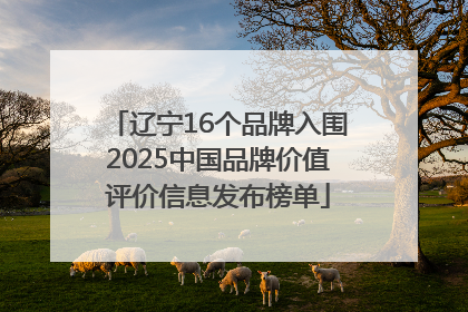 辽宁16个品牌入围2025中国品牌价值评价信息发布榜单