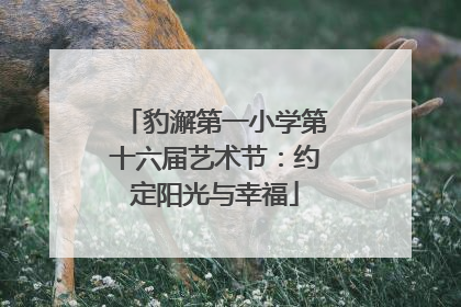 豹澥第一小学第十六届艺术节：约定阳光与幸福