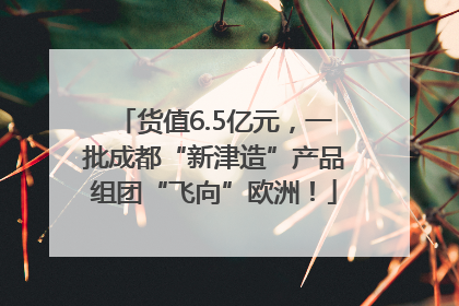 货值6.5亿元，一批成都“新津造”产品组团“飞向”欧洲！