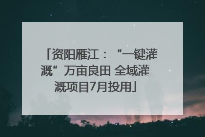 资阳雁江：“一键灌溉”万亩良田 全域灌溉项目7月投用