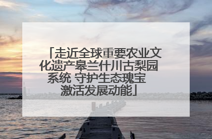 走近全球重要农业文化遗产皋兰什川古梨园系统 守护生态瑰宝 激活发展动能
