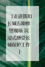 走进箭扣长城五期修缮现场 沉浸式感受长城保护工作