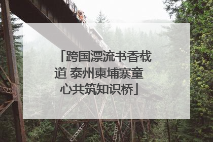 跨国漂流书香载道 泰州柬埔寨童心共筑知识桥