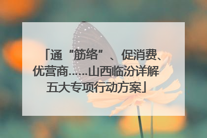 通“筋络”、促消费、优营商……山西临汾详解五大专项行动方案