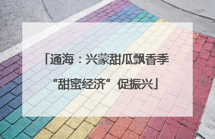 通海：兴蒙甜瓜飘香季 “甜蜜经济”促振兴