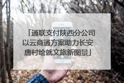 通联支付陕西分公司以云商通方案助力长安唐村绘就文旅新图景