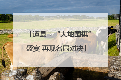 道县：“大地围棋”盛宴 再现名局对决
