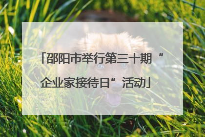 邵阳市举行第三十期“企业家接待日”活动