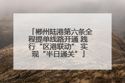郴州陆港第六条全程提单线路开通 践行“区港联动” 实现“半日通关”