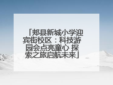 郏县新城小学迎宾街校区：科技游园会点亮童心 探索之旅启航未来