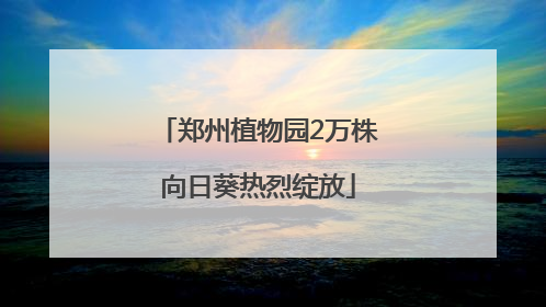 郑州植物园2万株向日葵热烈绽放