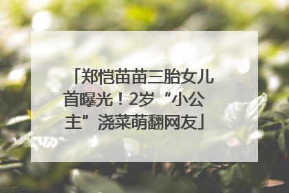郑恺苗苗三胎女儿首曝光！2岁“小公主”浇菜萌翻网友