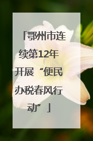 鄂州市连续第12年开展“便民办税春风行动”