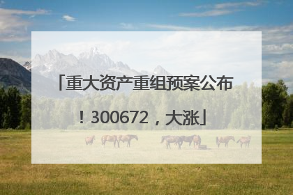 重大资产重组预案公布！300672，大涨