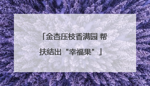 金杏压枝香满园 帮扶结出“幸福果”