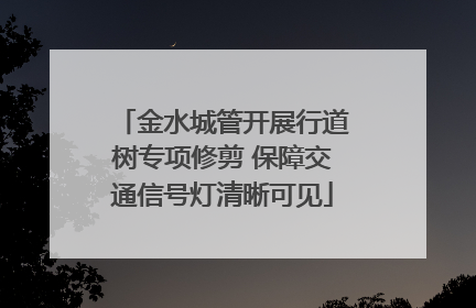 金水城管开展行道树专项修剪 保障交通信号灯清晰可见