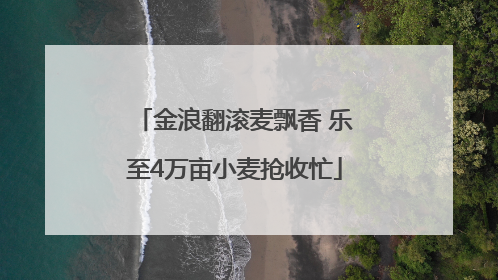 金浪翻滚麦飘香 乐至4万亩小麦抢收忙