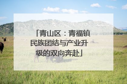 青山区：青福镇民族团结与产业升级的双向奔赴