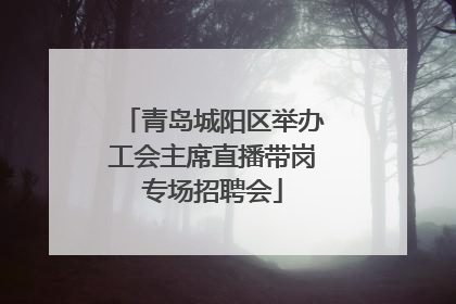 青岛城阳区举办工会主席直播带岗专场招聘会