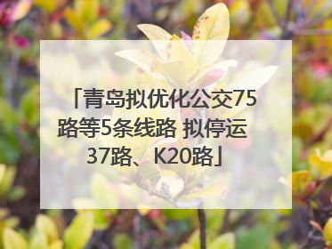 青岛拟优化公交75路等5条线路 拟停运37路、K20路