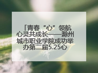 青春“心”领航 心灵共成长——滁州城市职业学院成功举办第二届5.25心理嘉年华活动