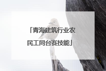 青海建筑行业农民工同台赛技能