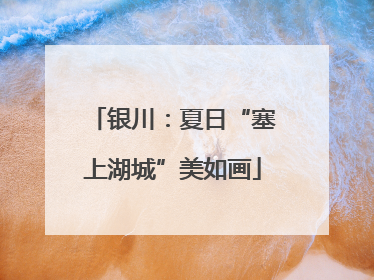 银川：夏日“塞上湖城”美如画