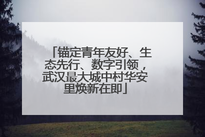 锚定青年友好、生态先行、数字引领，武汉最大城中村华安里焕新在即