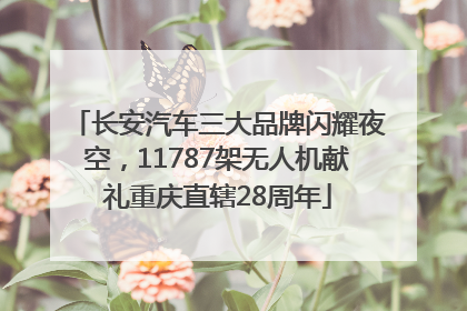 长安汽车三大品牌闪耀夜空，11787架无人机献礼重庆直辖28周年