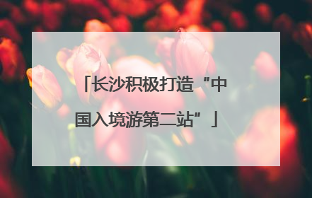 长沙积极打造“中国入境游第二站”