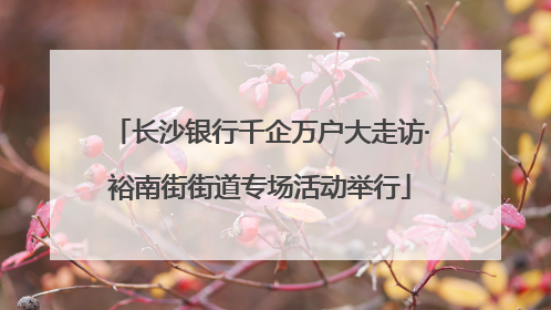 长沙银行千企万户大走访·裕南街街道专场活动举行