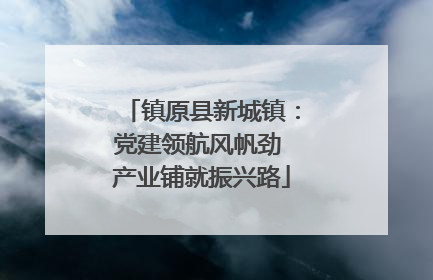 镇原县新城镇：党建领航风帆劲 产业铺就振兴路