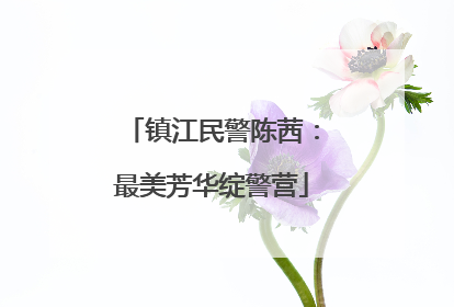 镇江民警陈茜：最美芳华绽警营
