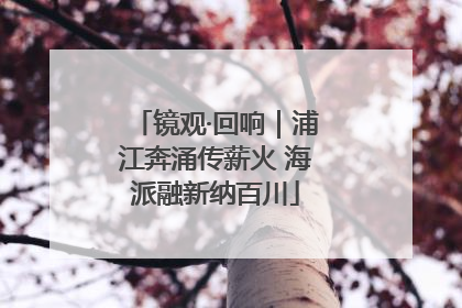 镜观·回响｜浦江奔涌传薪火 海派融新纳百川