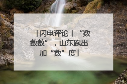 闪电评论丨“数数数”，山东跑出加“数”度