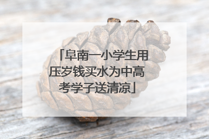 阜南一小学生用压岁钱买水为中高考学子送清凉