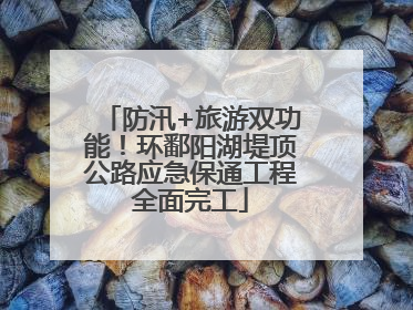 防汛+旅游双功能！环鄱阳湖堤顶公路应急保通工程全面完工