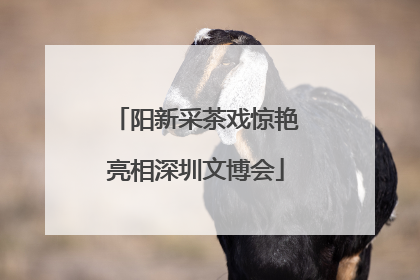 阳新采茶戏惊艳亮相深圳文博会
